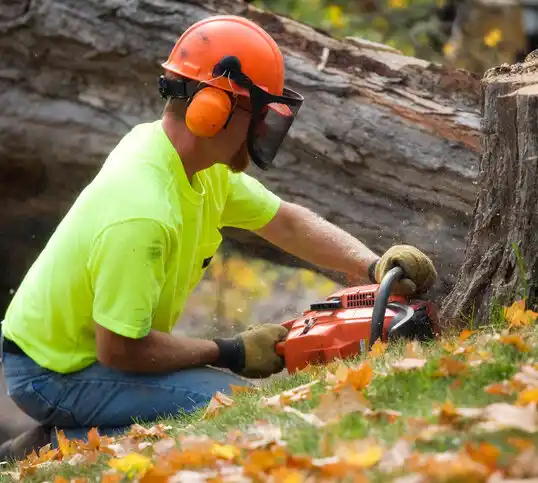 tree services Wyndmere